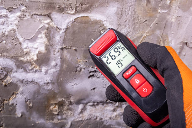 Best Attic Mold Removal  in Bealeton, VA