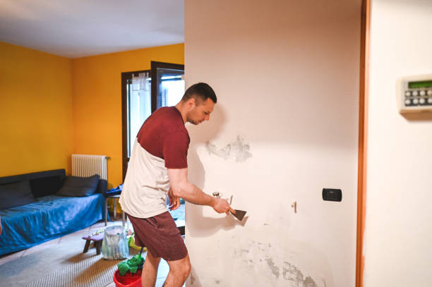 Best Fast Mold Removal  in Bealeton, VA